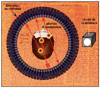 Fonctionnement du tomographe lors de la détection des photons gamma (Redouté, 2003)
