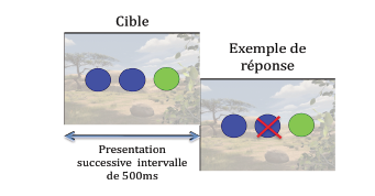 Image 10.: Exemple d'un essai de la phase 3, transfert (épisode B).