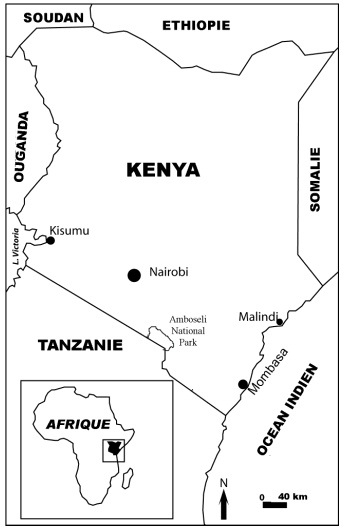 Figure 1.1 : Kenya