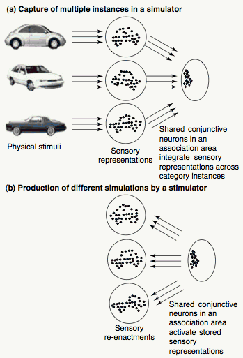 Figure 11. Illustration de la formation et de la réactivation d’un simulateur dans le modèle Perceptual Symbols System, PSS de Barsalou (1999).