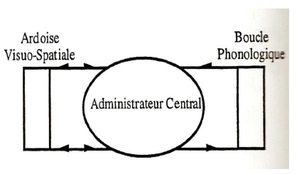 Figure 3: La mémoire de travail (MDT)