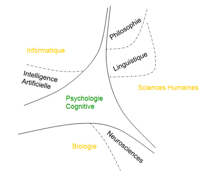 Figure 2. Les principales disciplines au voisinage de la Psychologie Cognitive : Les Sciences Humaines, l’Informatique et la Biologie. (Lemaire, 1999, p. 13)