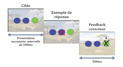 Image 9: Exemple d’un essai de la phase 2, apprentissage (épisodes A1, A2, A3).