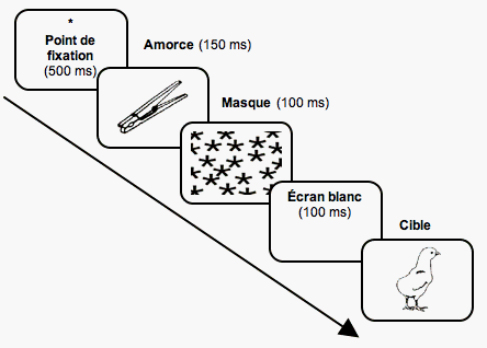Figure 7. Paradigme d’amorçage à court terme utilisé dans l’expérience de Ferrier et al. (2007). Exemple d’un essai congruent.