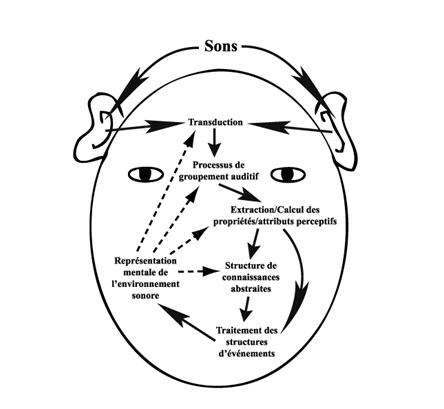 Figure 1. Processus de traitements ascendants (traits pleins) et descendants (pointillés) de l’information auditive. D’après McAdams et Bigand, 1994.