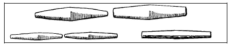 Figure 48- Perles biconiques (d’après Woolley 1934 : 367, figure 74)