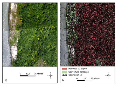 Figure 2-19. a) image aérienne d’un banc de galets végétalisé du Haut-Rhône, b) carte des unités végétales et segmentation issue d’une classification orientée-objet