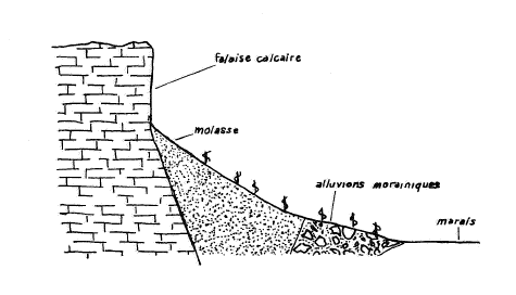 Le coteau chautagnard : la place de la vigne d’après la Carte des groupements végétaux de la Chautagne (Documents de Cartographie Végétale, n.IX, 1971)