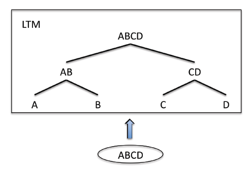 Figure 37 : Illustration du processus d’intégration hiérarchique, multiplicatif et multimodal. Notes. LTM : Lobe temporal médian, ABCD : un événement perceptif.