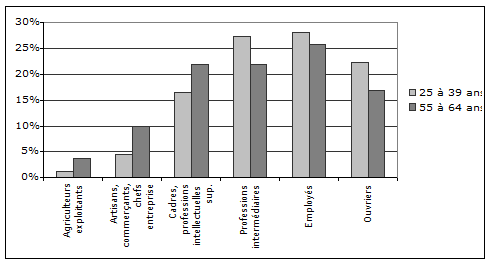 Graphique 1-1 : Structure socioprofessionnelle des actifs occupés selon l’âge,  