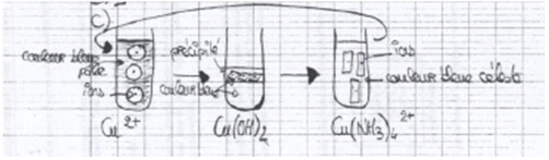 Figure 4 : Mise en correspondance de l’analogie des Blicks avec les symboles chimiques.