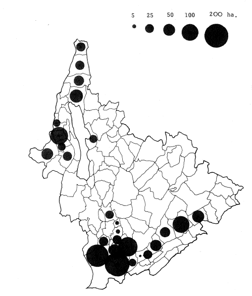 Superficie totale plantée par commune en 1979
