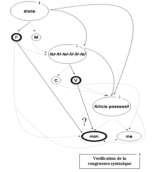 Figure 13 : Modèle en cascade d’accès au déterminant 