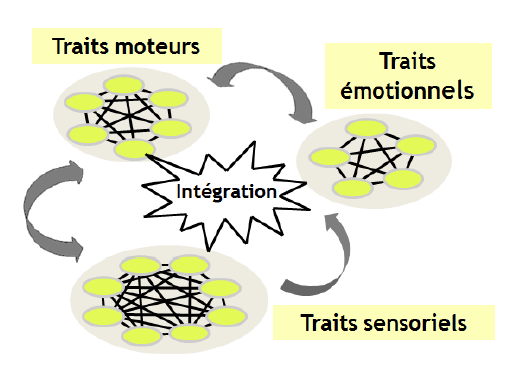 Figure 1 : Ebauche d’architecture du modèle de Versace, Nevers et Padovan (2002)