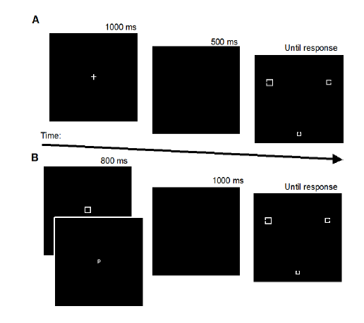 Figure 1:Synopsis of the visual search task, for Experiments 2 and 3. Only the low oad condition (3 items) was presented. For the display search (last figures on the right), a no-distractor condition was shown on top, and a salient distractor condition on bottom. 