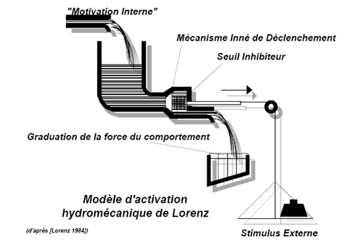 Figure 31. Le modèle d’activation de Lorenz. Pour chaque activité existent une « énergie » interne et un stimulus externe. Tous les deux ont le même rôle : repousser la valve qui ferme le récipient afin de déclencher le comportement. (Drogoul, 1993, p. 28).