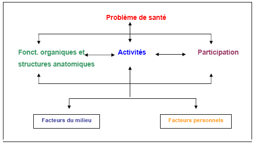 Figure 5. Interactions entre les composants de la CIF