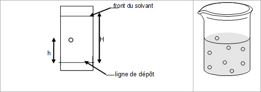 Figure 7 : Le schéma de la chromatographie (à gauche) et de la dissolution (à droite).
