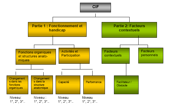 Figure 4. Structure de la CIF