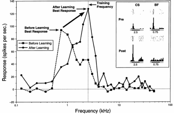Figure 24. Décalage de la courbe d’accord après apprentissage à une fréquence de 2.5 kHz: la fréquence caractéristique était 0.75 kHz avant apprentissage et est 2.5 kHz après apprentissage (Weinberger, 2001).