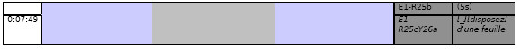 Figure 17 : Extrait 3 de transcription montrant une pause entre parenthèse