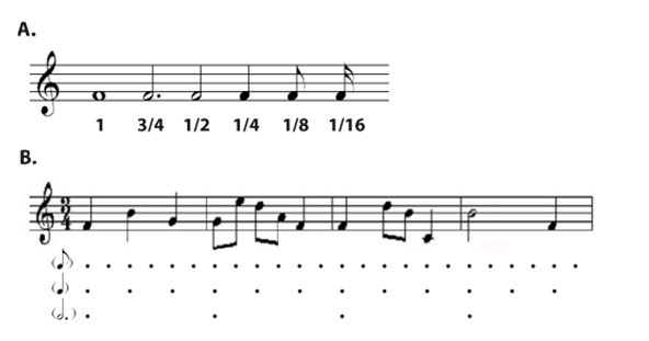 Figure 1.2.4. Organisation rythmique et métrique. 