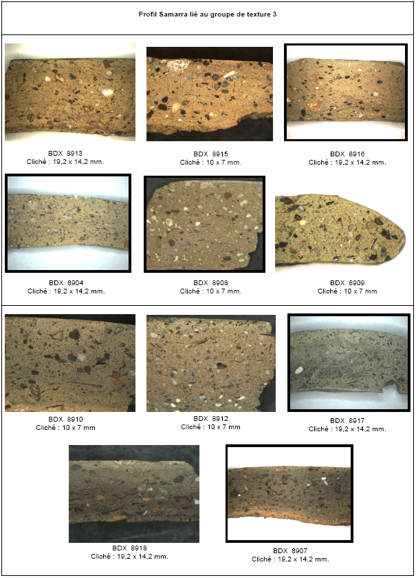 PLANCHE 2.41 : Clichés en lumière naturelle de tessons provenant de Tell Shimshara (Iraq) intégrés dans le groupe de texture 3. Clichés : A. Lassalle et B. Robert (CRP2A).