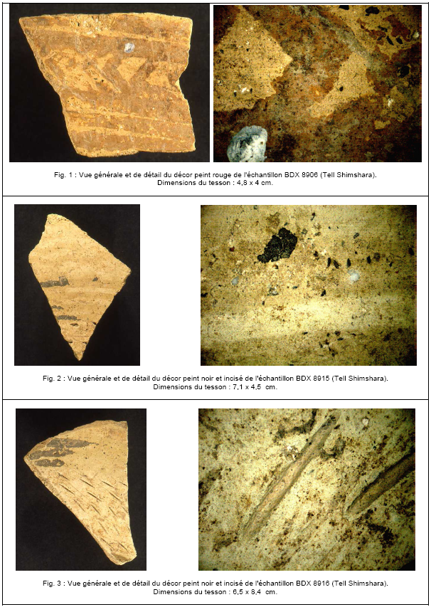 PLANCHE 2. 42 : Détails des décors des tessons provenant de Tell Shimshara (Iraq). 