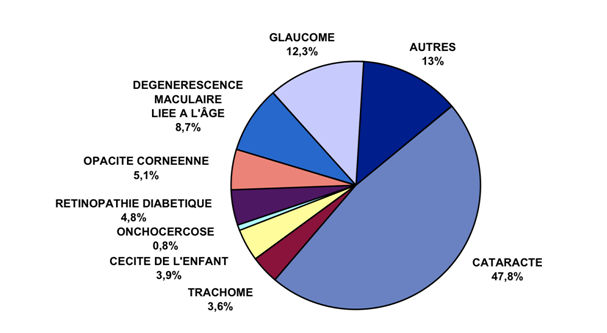 Figure 4 : Importance des causes de cécité sur le nombre total de cas dans le monde en 2002 (45 millions)