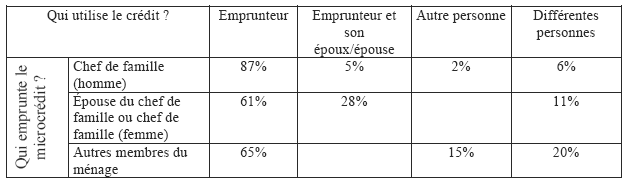 Tableau 35. Modalités d’utilisation du microcrédit