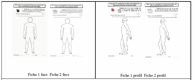 Figure 4-1. Les quatre fiches diagnostics pour la digestion (solide/liquide)