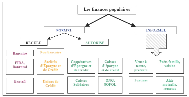 Figure 12. Structuration du secteur des finances populaires avant la mise en application de la LACP.