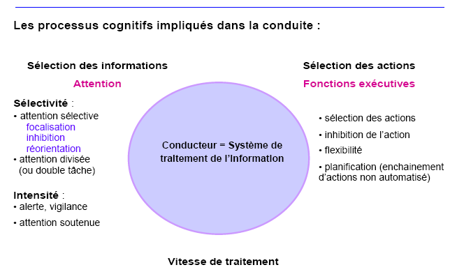 Figure 4 : Schématisation des processus cognitifs impliqués dans la conduite 