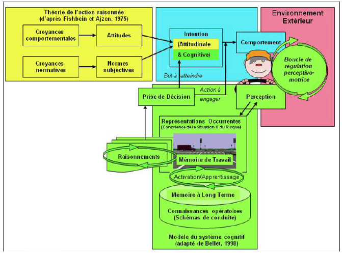 Figure 32 : Rôle des représentations sociales et cognitives dans la genèse de l’intention