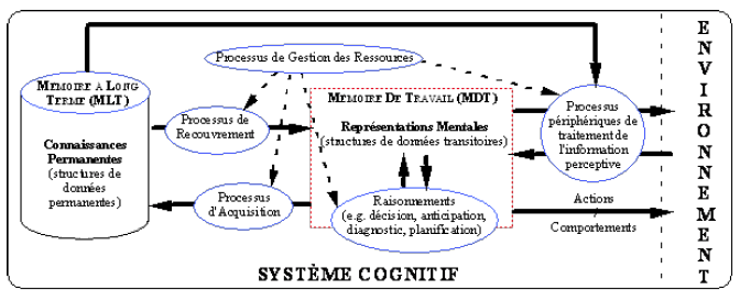 Figure 6 : Architecture simplifiée du système cognitif humain, selon Bellet (1998, p86)