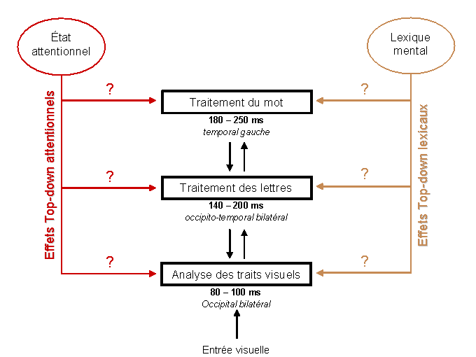 Figure 2.2 : Schéma synthétique de la problématique générale
