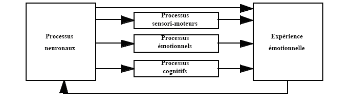 Figure 2. Le modèle multisystème d’activation de l’émotion (Izard, 1993, p.74)