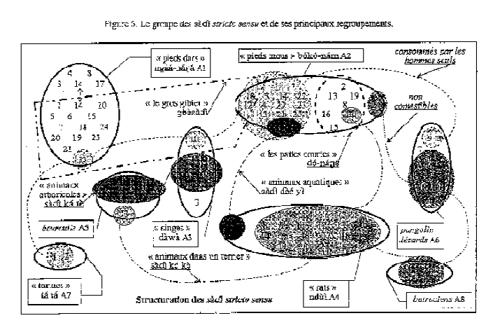 Figure 72. Schéma de Roulon-Doko