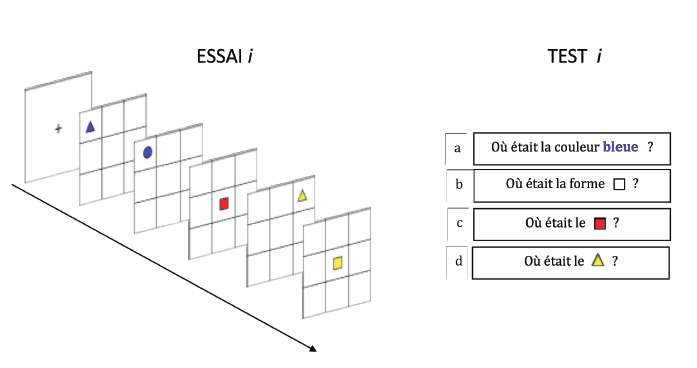Figure 29 : Un exemple d’essai et les questions tests associées dans la tâche des matrices. Notes. Essai correspondant au display A dans la séquence 1-1-2-3-2. 