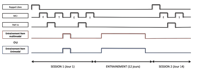 Figure 31 : Déroulement des sessions expérimentales. Notes. E : phase d’étude du paradigme ; T : Phase test du paradigme. ; Il n’y a pas d’interruption entre la phase d’étude et la phase test du rappel. 