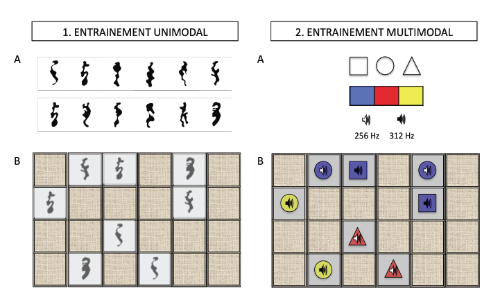 Figure 32 : Illustration de chaque type d’entraînement et des stimuli associés. Panel 1 : entraînement unimodal ; 1.A : 12 stimuli unimodaux utilisés ; 1.B : tâche de Memory. Panel 2 : entraînement multimodal ; 2.A : Propriétés des stimuli multimodaux ; 2.B : tâche de Memory. Notes. Les couples grisés sont les couples découverts par le participant à ce moment du test. 