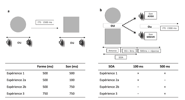 Figure 5 : Illustration de la procédure expérimentale d’après Brunel et al. (2009a). 5a : Phase d’apprentissage durant laquelle les participants effectuaient une tâche de discrimination visuelle sur des formes géométriques simples (carré ou cercle) dont l’une est systématiquement présentée avec un bruit-blanc. 5b : Phase d’amorçage à court terme durant laquelle les participants effectuaient une tâche de discrimination de son (aigu ou grave). Notes. SOA : 