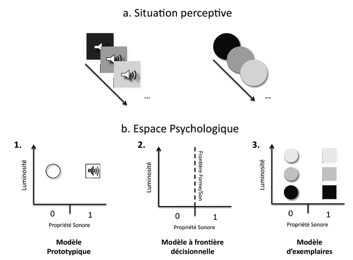 Figure 12 : Illustration des explications relatives aux principaux modèles de la catégorie dans le cadre de l’expérience de Brunel et al. 2009a ; 2010. Une situation perceptive (a) dans laquelle le sujet est amené à catégoriser des stimuli va aboutir à la création de deux prototypes (b1), d’une frontière décisionnelle (b2), à la représentation de tous les exemplaires en mémoire sur lesquelles sera fait un appariement global (b3). 