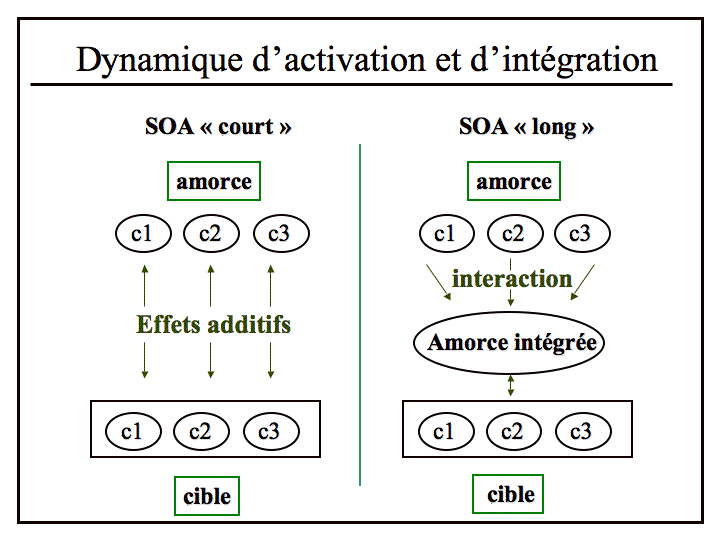 Figure 14. Illustration de l’influence des processus d’activation et d’intégration sur le phénomène d’amorçage. 
