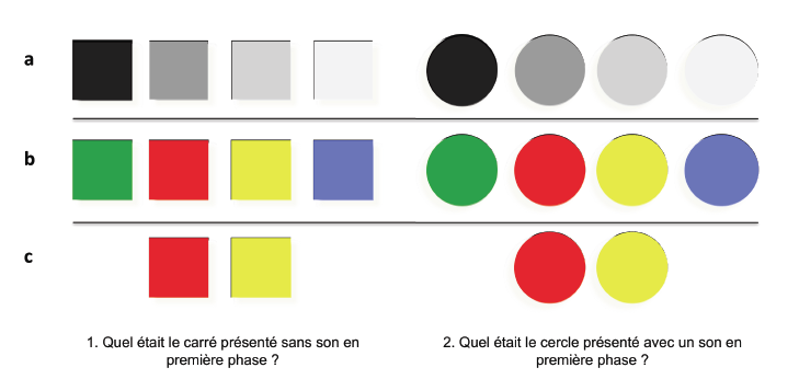 Figure 14 : Illustration de la phase de reconnaissance d’après Brunel et al (2009b ; en révision a). La tâche des participants est de retrouver l’absence (question 1) ou la présence (question 2) d’une propriété sonore parmi les exemplaires de la catégorie. Les panels a, b et c correspondent respectivement aux phases de reconnaissance des expériences 1, 2 & 3.