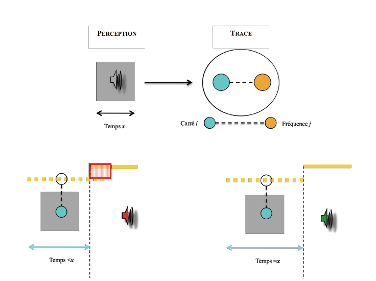 Figure 4 : La perception laisse des traces mnésiques épisodiques et multimodales. 4a : La présentation simultanée d’une forme géométrique et d’un son aboutit à la création d’une trace mnésique multimodale qui reflète le lien spécifique entre des composants qui conservent leurs caractéristiques perceptives. 4b : 