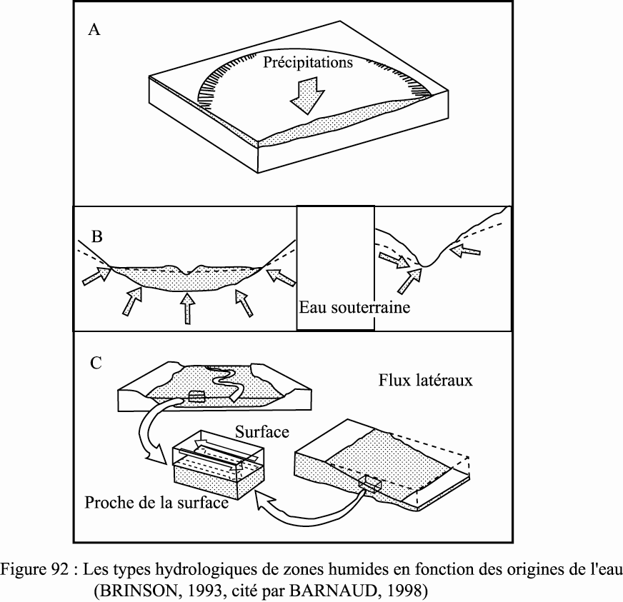 Figure 92 Les types hydrologiques de zones humides en fonction des origines de l’eau (BRINSON, 1993, modifiée)