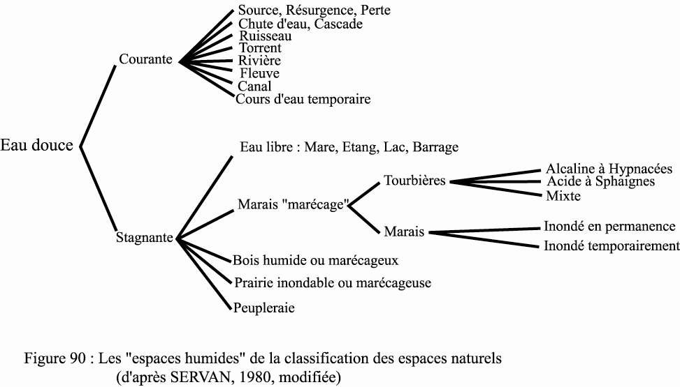 Figure 90 Les « espaces humides » de la classification des espaces naturels (d’après SERVAN, 1980, modifiée)