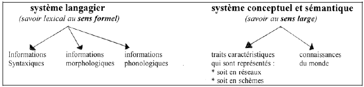 Figure 6 : la représentation des informations lexicales, sur la base des travaux de Schwarz (1992)