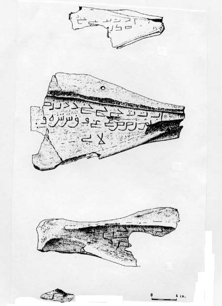 Fig. 23 : Fragments d’omoplates gravés d’inscription talismanique.  